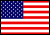 flag of the USA